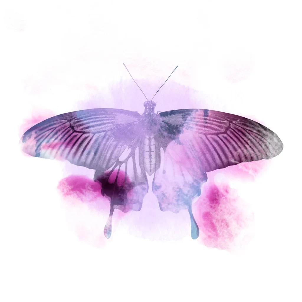 papillon image décorative