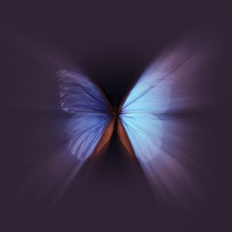 DEBORAH MAUGER - PATRICIENNE EDMR CAEN