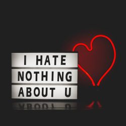 cadre avec écris : i hate nothing about you
